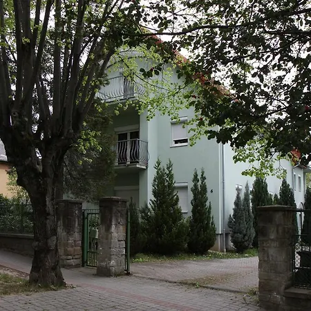 아파트 Apartament Roza V Tsentre Heviza