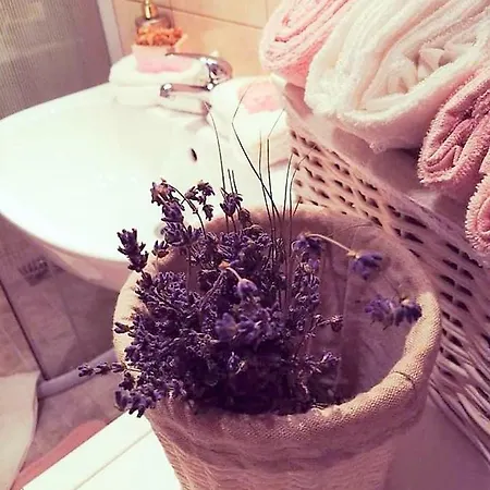 Apartament Roza V Tsentre Heviza 아파트 Hévíz